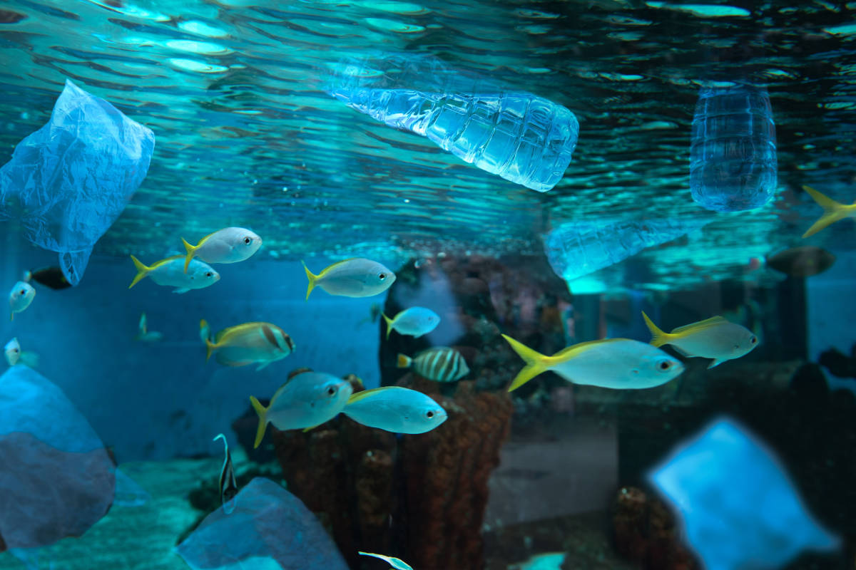 Plastic in the water at Christmas Island